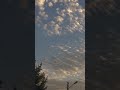 26 сентября 2025 г.