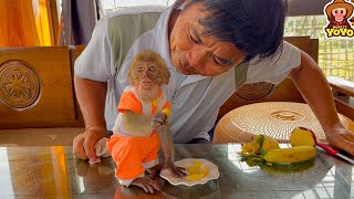 The process of monkey YiYi helps grandpa go to the market to buy food