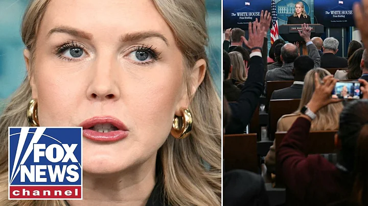 'UTTER LIES!': Leavitt goes OFF on media's reports