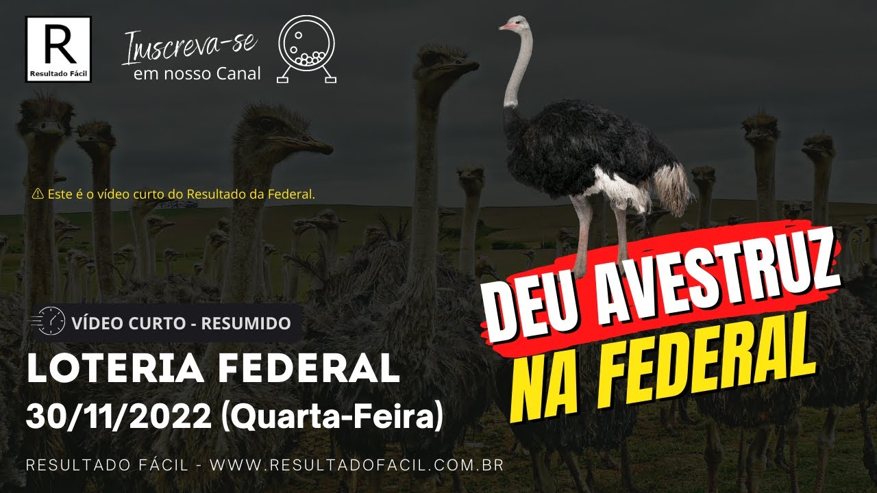 Resultado Jogo do Bicho da FEDERAL do dia 30/11/2022 (Quarta-feira)