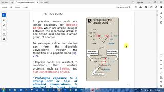 protein structure