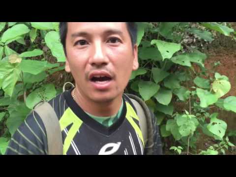 อเนจอนาถEnduro 2016