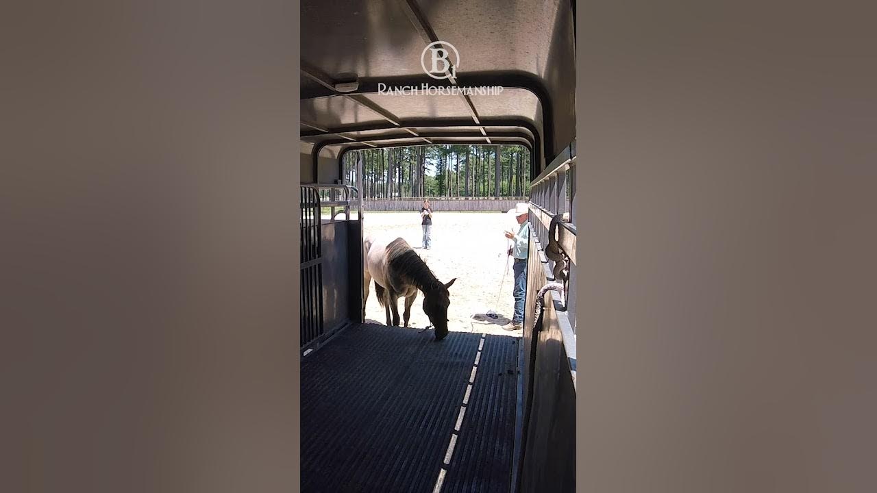 How To Get a Horse To Load Itself On The Trailer 8 YouTube