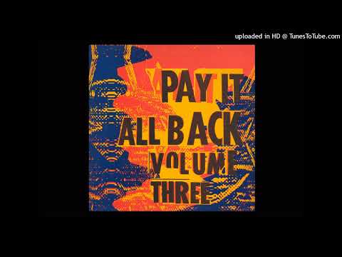 Dub Syndicate feat. Akabu - Stoned Immaculate