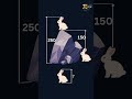 Find the size of the bunny? #maths #algebra #puzzle #piverse #brainexercise #tricks