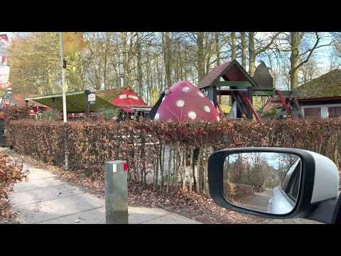 Hiking route at Amsterdamse Waterleidingduinen near Bentveld, Zandvoort, Netherlands 🇳🇱 #FamilyVlog