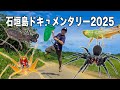石垣島に生息するとんでもない虫たちを探せ！[ドキュメンタリー2025]
