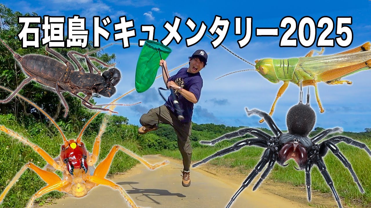 石垣島に生息するとんでもない虫たちを探せ！[ドキュメンタリー2025]
