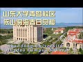 山东大学青岛校区依山傍海樱花烂漫2