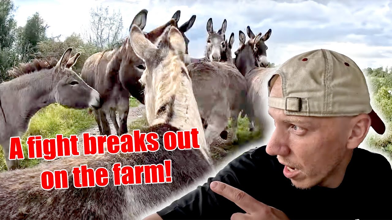 Things Went So Wrong So Fast! The Hardships Of Farming! 