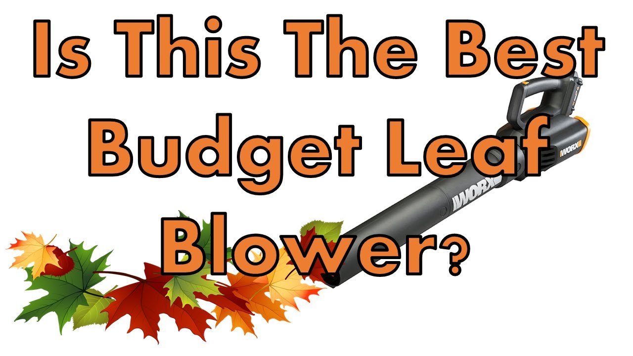 WORX Turbine 20v Cordless Blower | Unboxing & First Look