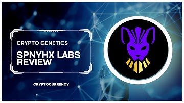 SPNYHX LABS - REVIEW