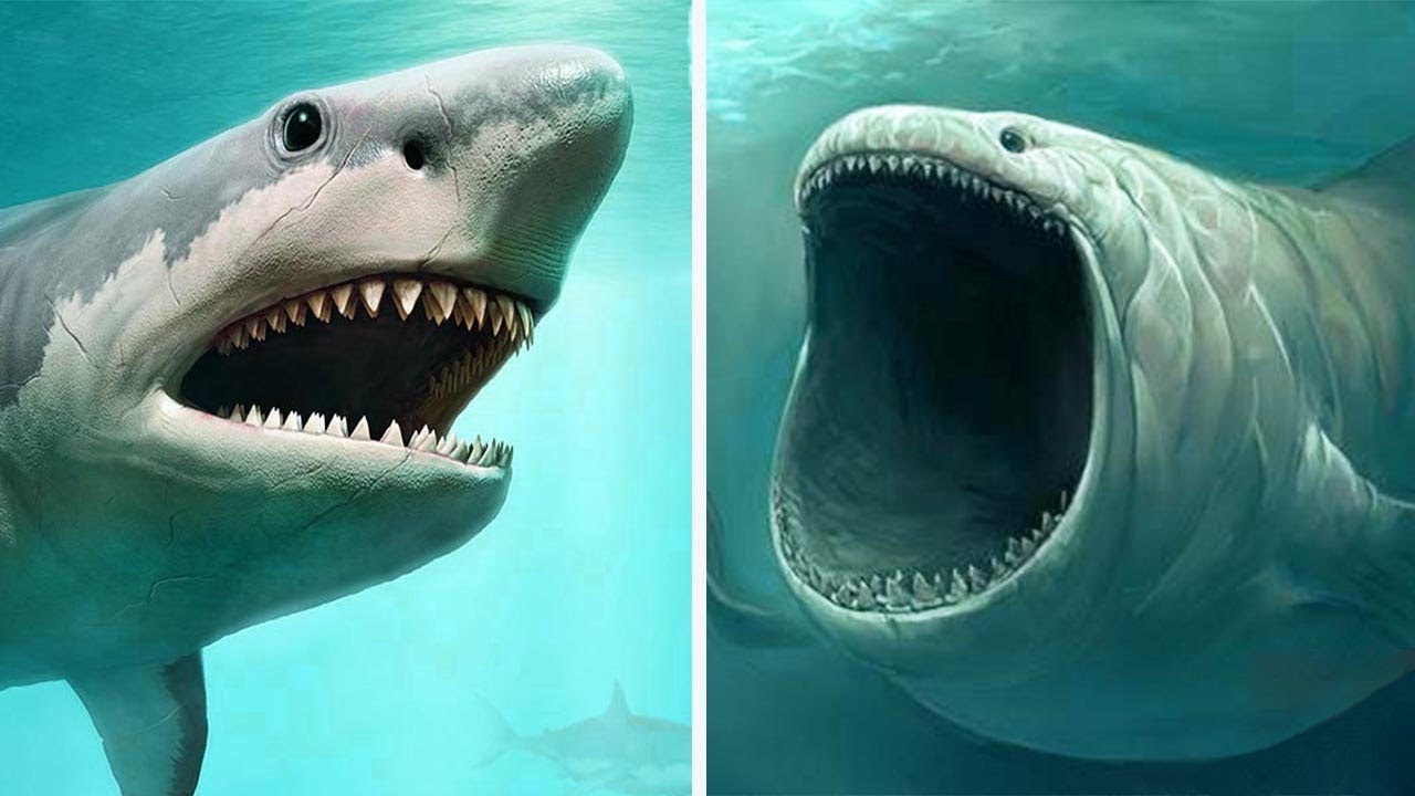 MEGALODON vs BLOOP ► İzlediğiniz için TEŞEKKÜRLER :) ► ABONE OLUN ► https.....