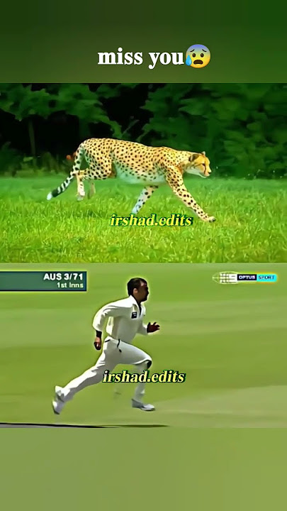 𝐓𝐰𝐨 𝐭𝐢𝐠𝐞𝐫𝐬 𝐢𝐧 𝐨𝐧𝐞 𝐟𝐫𝐚𝐦𝐞.𝐦𝐢𝐬𝐬 𝐲𝐥𝐮 𝐚𝐤𝐡𝐭𝐚𝐫😰 #foryou#vairalshorts#growmyaccount#shoaibakhtar#fastbowler