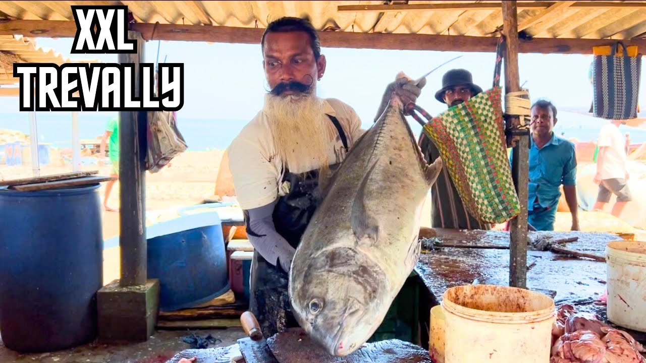 Mastering Huge Trevally Fish Cutting Skills | Revolutionary Knife Techniques!