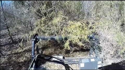 Testing out the new Shearex HM70-SR Forestry Mulching Head on our Kubota 97-2