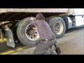 Flat Tire On A Semi Truck (Trucker Vlog Adventure #10)