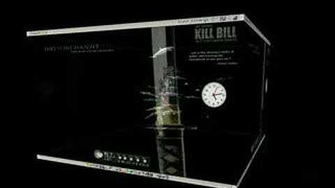 Compiz-Fusion Linux Mint 3D Desktop -- Free the Fish!