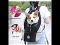 The Best Pet Carrier You Must Have #Shorts