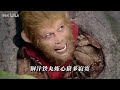 八十一难遍见高洁龌龊 七十二般变化扶善除魔 孙悟空 循迹 八十一难遍见高洁龌龊 七十二般变化扶善除魔 孙悟空 循迹