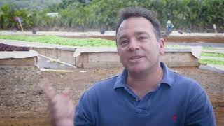 Locally Ours: Kunia Country Farms