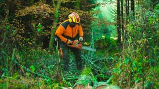 Schäfers Holzernte Service Werbefilm Zur Durchforstung
