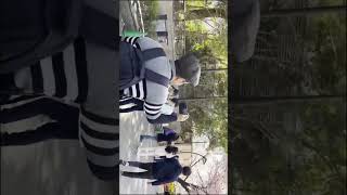 Berburu Bunga Sakura di Tokyo