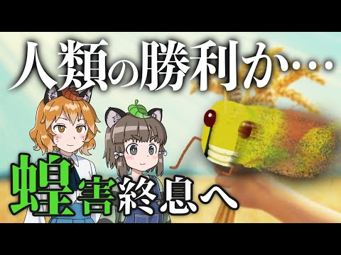 【総集編】蝗害ついに終息へ…人類はバッタに勝ったのか？忍び寄る食品値上げの脅威…