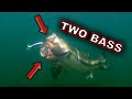 Best Baits for Post Spawn Fish **UNDERWATER FOOTAGE**