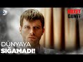Kuzey In Omuzlar脹ndaki Y端k Kuzey G端ney Kuzey In Omuzlar脹ndaki Y端k Kuzey G端ney