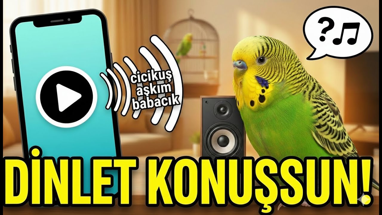 CİCİKUŞ AŞKIM BABACIK DİNLET KONUŞSUN MUHABBET KUŞU SESİ