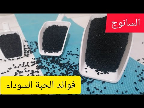 فوائد السانوج حبة البركة الحبة السوداء لتسكين الآلام و تقوية المناعة الحبة السوداء