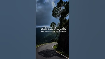 سلمان العتيبي - سورة النساء