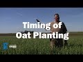 When to plant oats in iowa