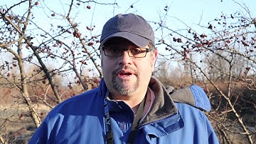 DJI Phantom 2 Vision Review and test footage