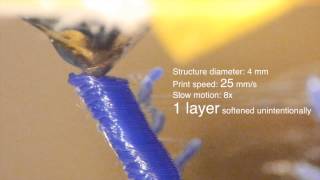 3DP - Raised edges on small structures