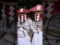 MASKED DANCE MAHOROBA-SHU