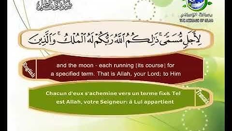 سورة فاطر . يصوت القارئ سعد الغامدي م ======ن قناة رسالة الأسلام