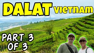 Don’t Skip Dalat Part 3 🇻🇳 Agriculture Tour