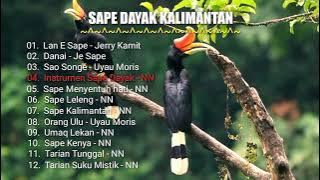 Sape Dayak Kalimantan
