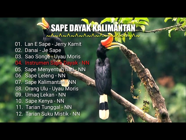 Sape Dayak Kalimantan class=