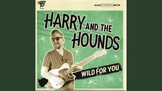 Harry & The Hounds vidéo