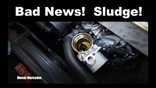 Mercedes S550 W221 M273 Engine oil and filter change