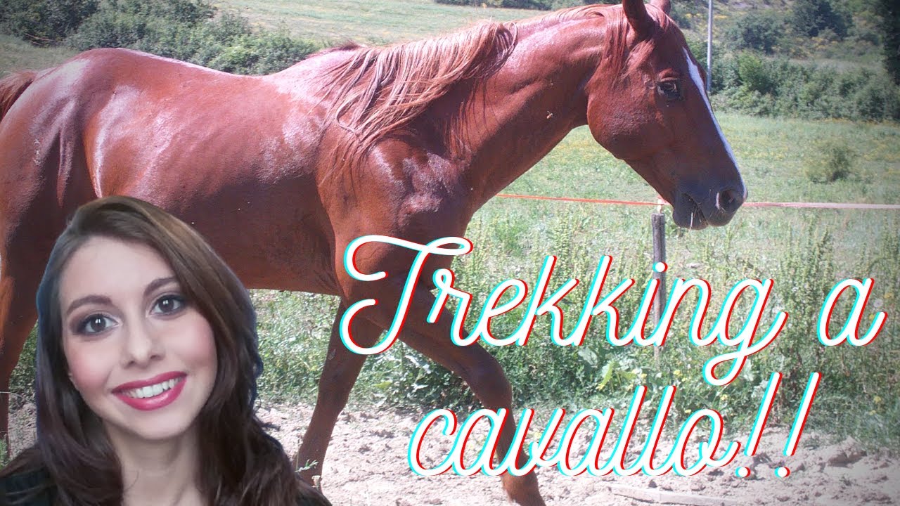 andare a cavallo in inglese