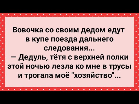 Соседка В Купе Лезла Вовочке В Трусы! Сборник Свежих Анекдотов! Юмор!