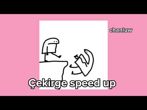 Çekirge speed up!!