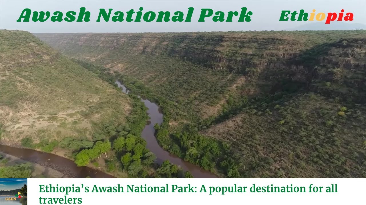 Ethiopia’s Awash National Park: A popular destination for all travelers | Amazing Ethiopia