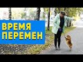 Почему редко снимаем видео о шпицах. Время перемен. Шпиц Каспер желает познакомиться