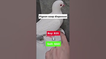 Funny product that can make you a bank 💰💰💰  #ecommercebusiness #dropshipping #ecommerce #sidehustle