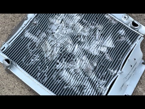 Buster Radiator BUSTER TAKING CARE OF BUSINESS WITH FAULTY RADIATOR - YouTube